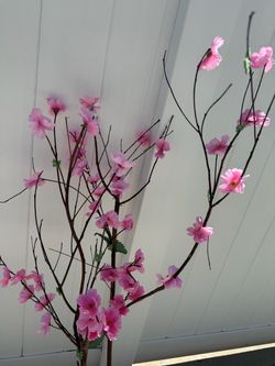 Cherry blossom 🌸 branch decor