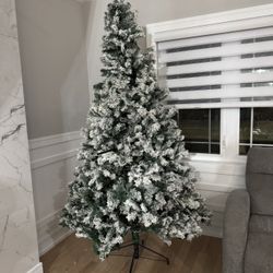 Christmas Tree For Sale
