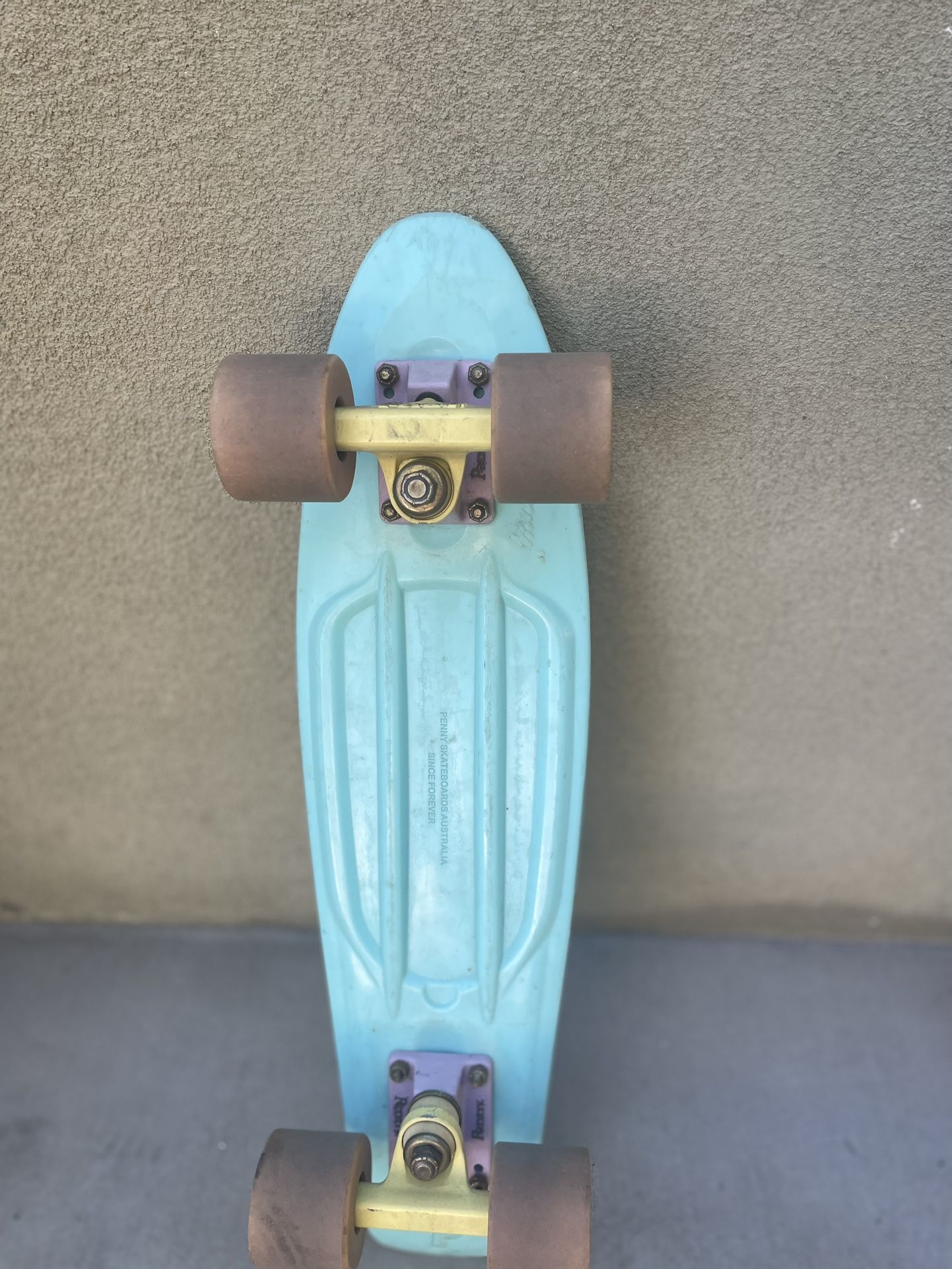 Penny Board Skateboard