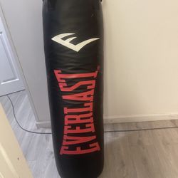 Everlast Punching Bag With The Metal Sturdy Stand, Paid $350, Asking $150 Only 