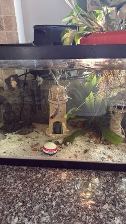 Fish tank