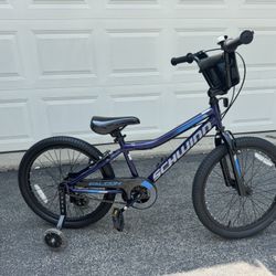 20 Inch Kids Schwinn Bike