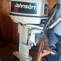  Johnson 30 hp outboard motor