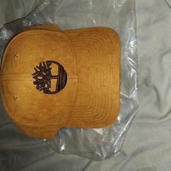 Suede Snap Timberland Hat