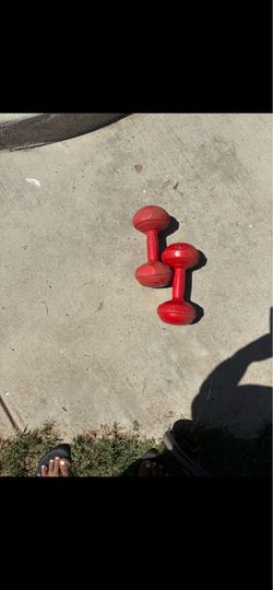Pair of weights