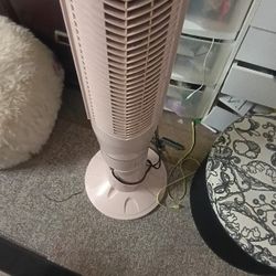 Pink Fan