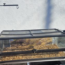 For Small Reptile 