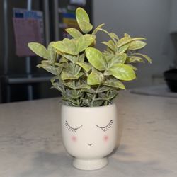 Faux Tea Leaf Smiling Pot