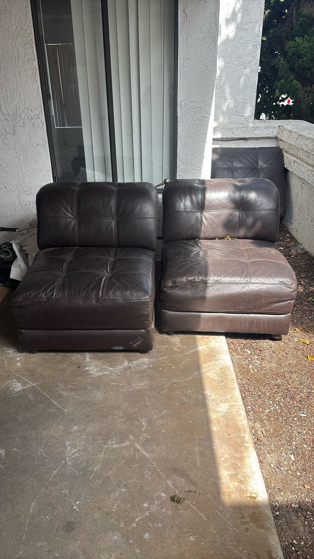 Leather Couches