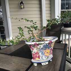 flowerpot