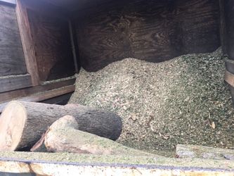 Free woodchips and firewood FREE!!!