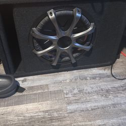 12 Inch Kicker 