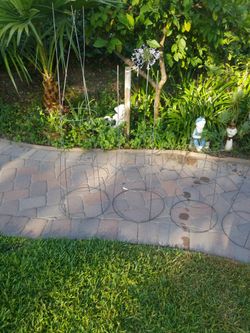 Tomato plant holders Also good for plants