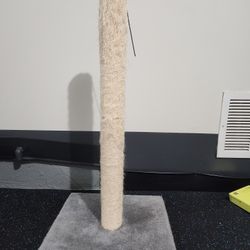 Used Cat Scratching Post