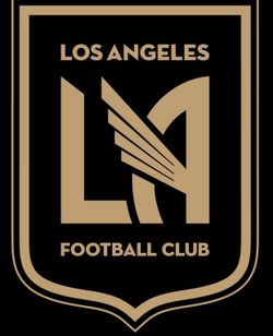 Selling one ticket for today’s game Vs REAL SALT LAKE