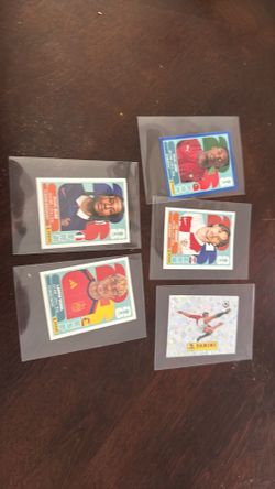 Panini World Cup sticker willing to trade or you can offer money
