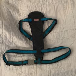Kong Dog Harness  And Leash