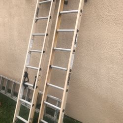 Dewalt 16 FR Ladder 