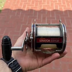 Penn Special Senator 113HLW 4/0 Wide Saltwater Reel