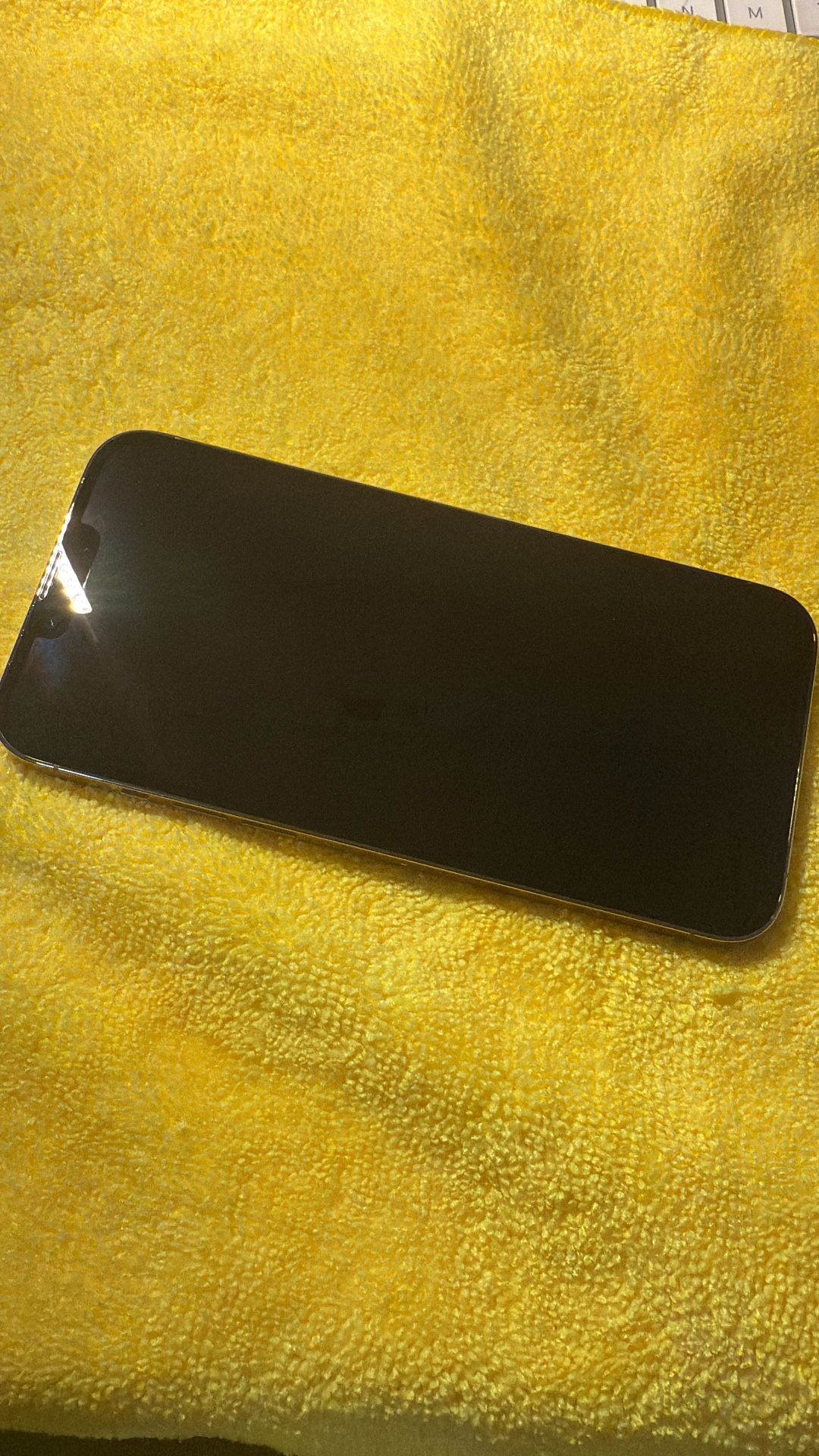 iPhone 13 Promax