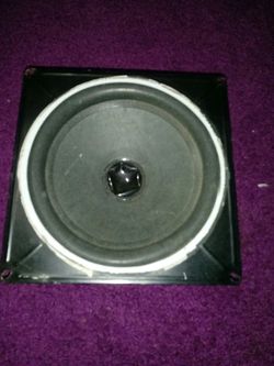 Speaker