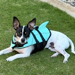 Dog life/swim vest