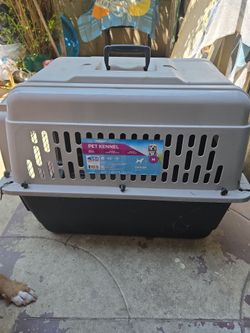Dog kennel cage