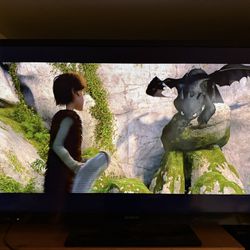 55” Sony TV. Works Great!!!