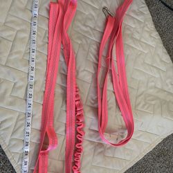 New Dog Leash Set