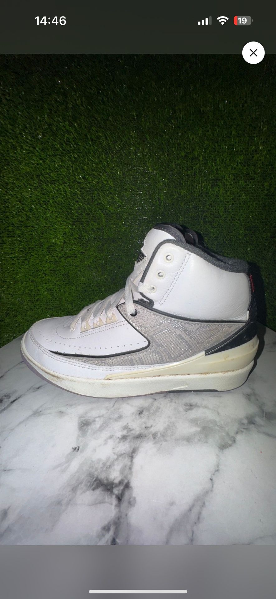 Jordan 2 Snakeskins