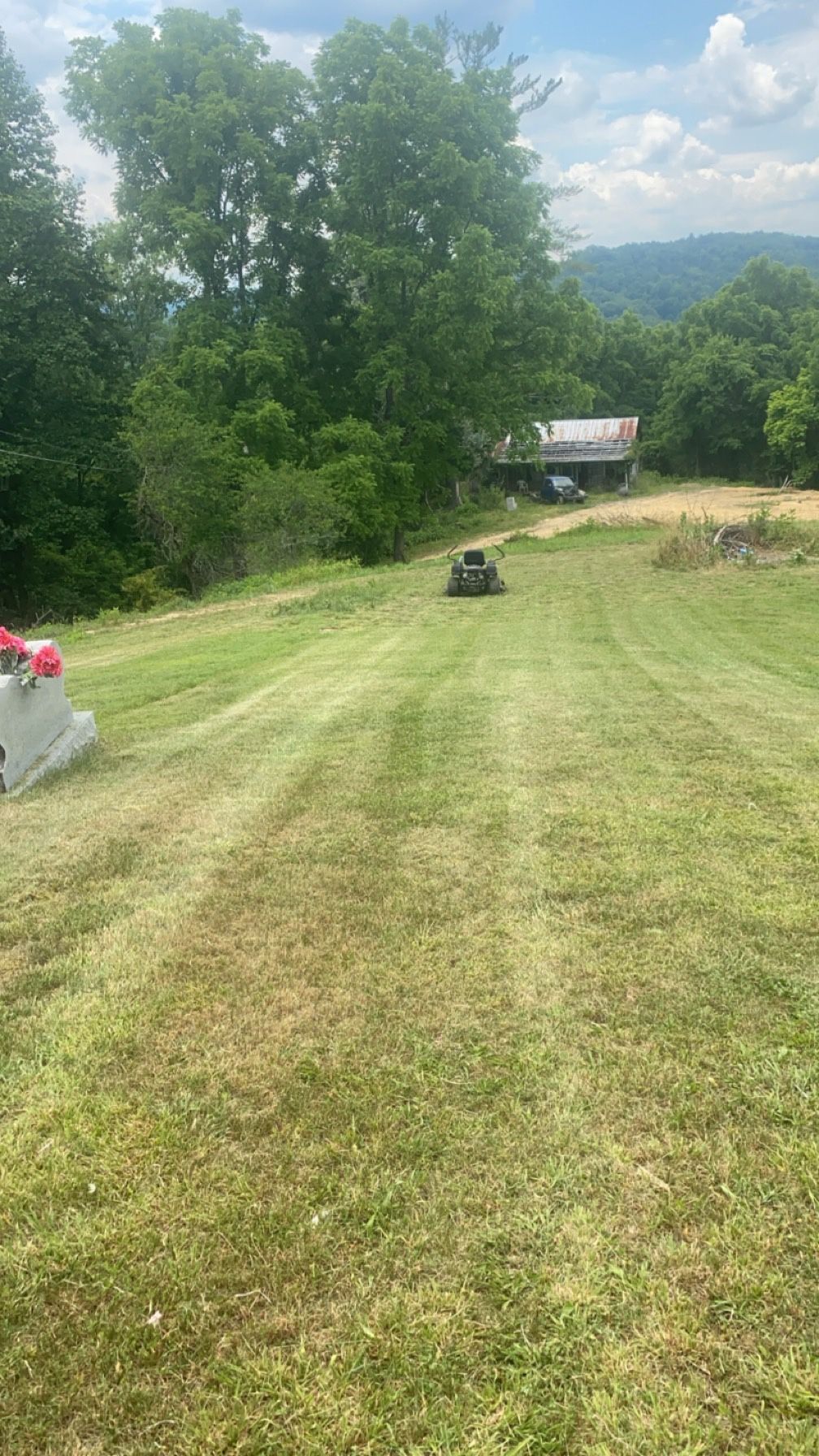 Mowing Special!