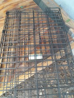 Medium Dog Crate