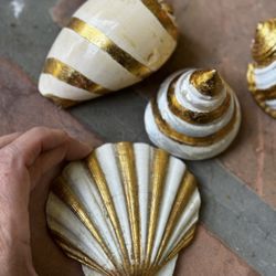 Seashells With Gold Color Trim
