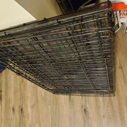 Kennel