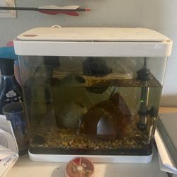 5 Gallon Fish Tank