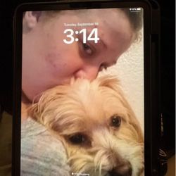 Apple Ipad Pro 11 inch 256GB 4th generation