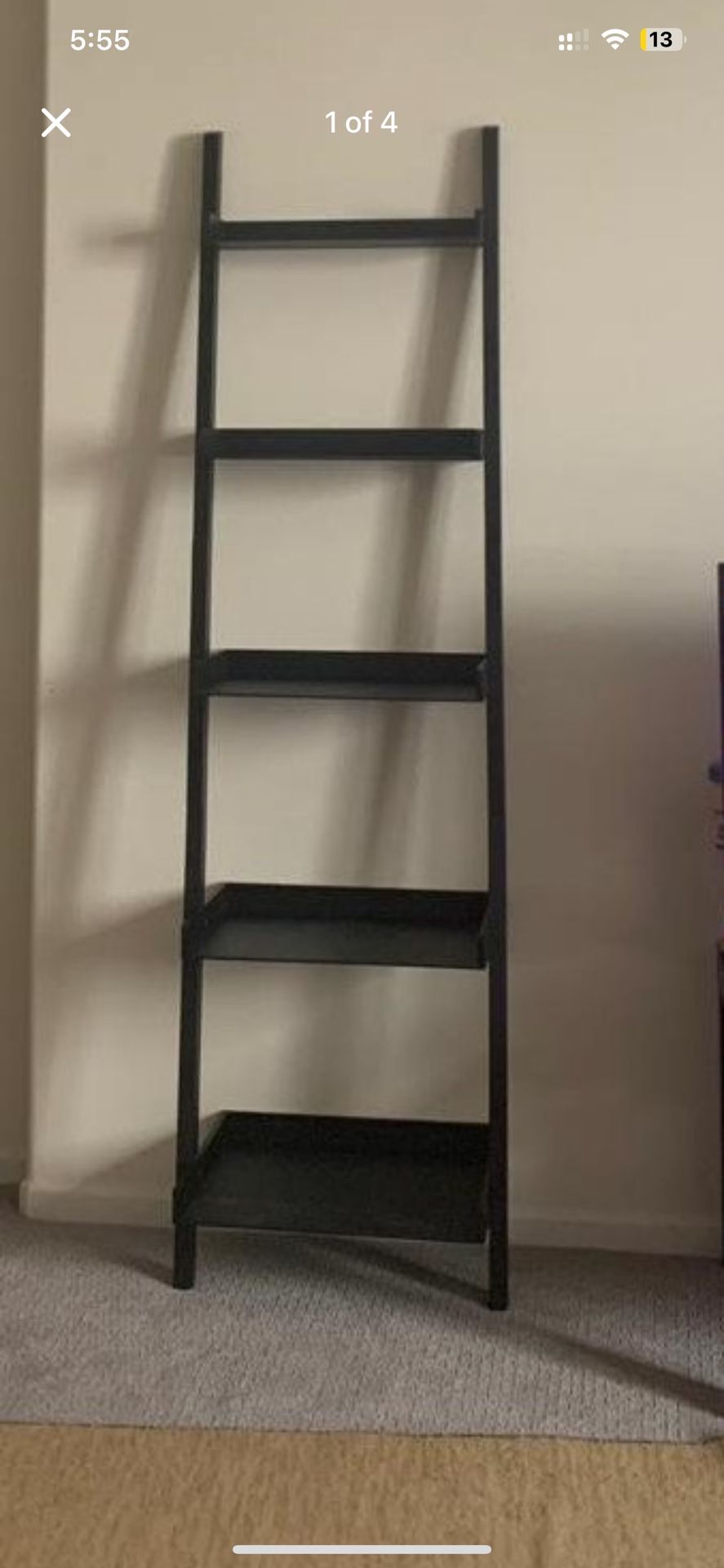 5 Tier Ladder Shelf
