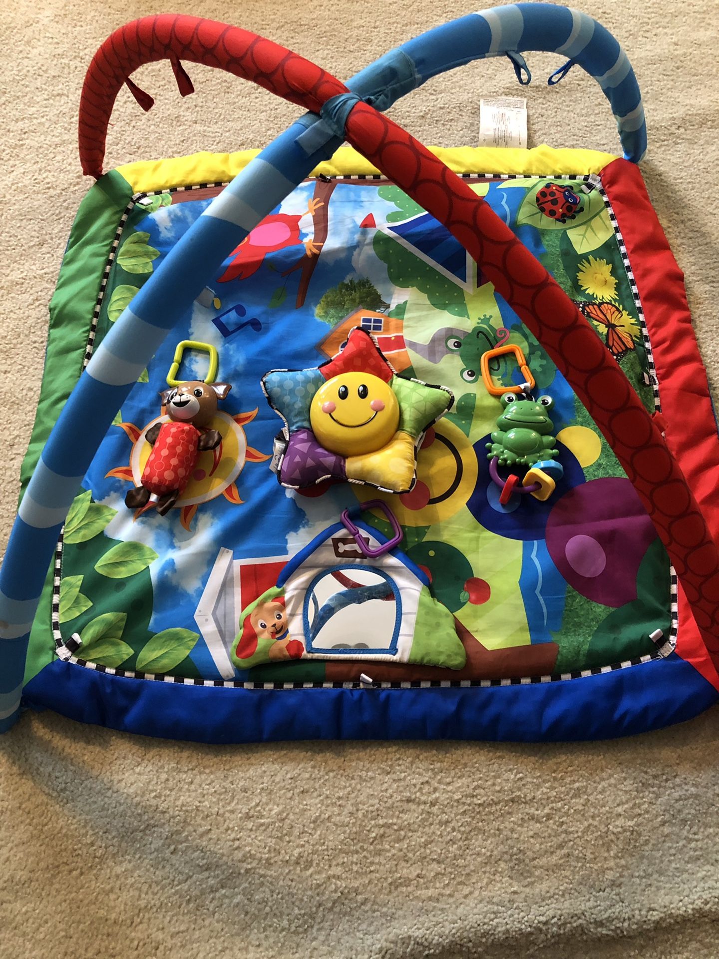 Baby Play Mat and Toys