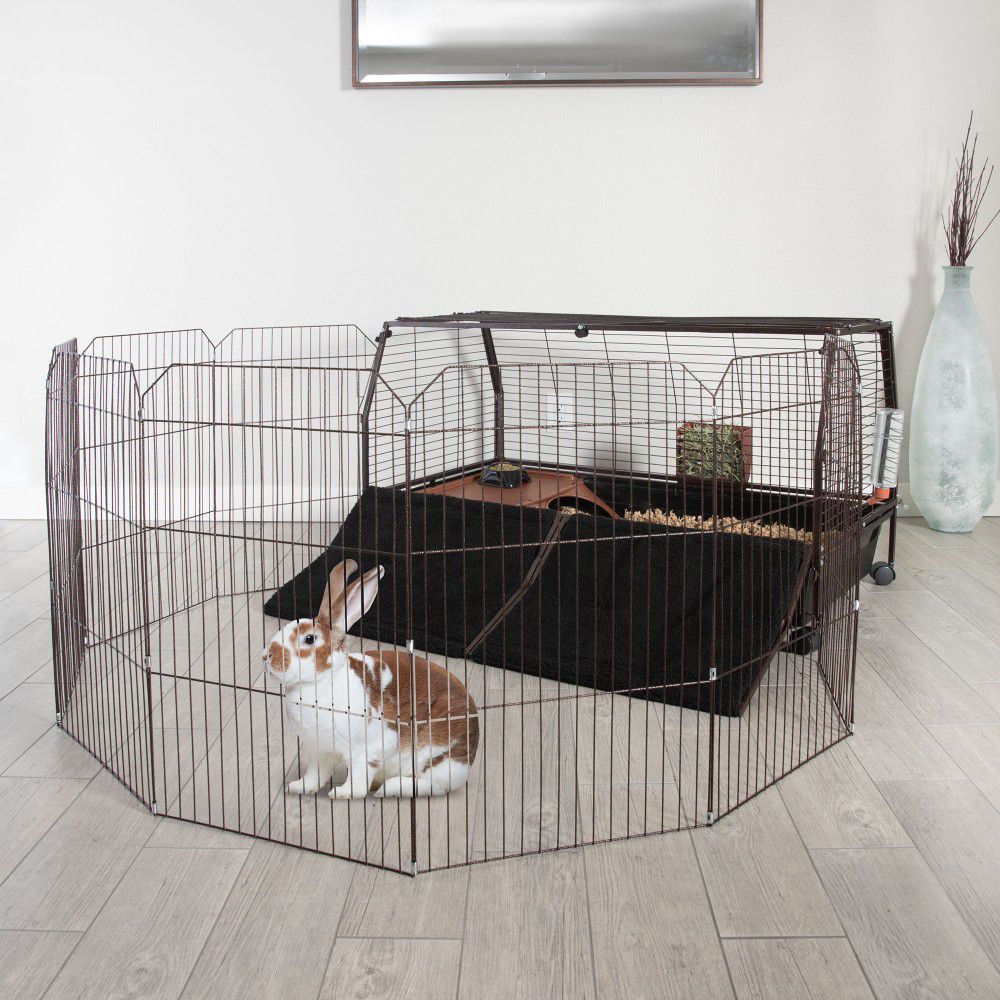 Guinea pig/rabbit/animal cage