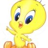 Pooche