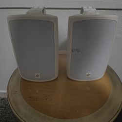 Niles OS 5.5 outdoor and indoor speaker