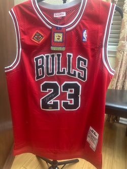 Mitchell & Ness Bulls #23 Hardwood Classics Jersey