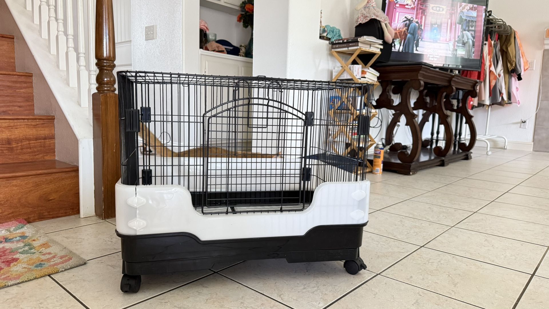 Cat & Dog Cage
