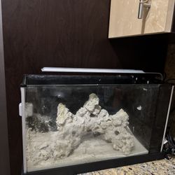 Saltwater 5 Gallon Fish Tank Fluval 5 Gallon