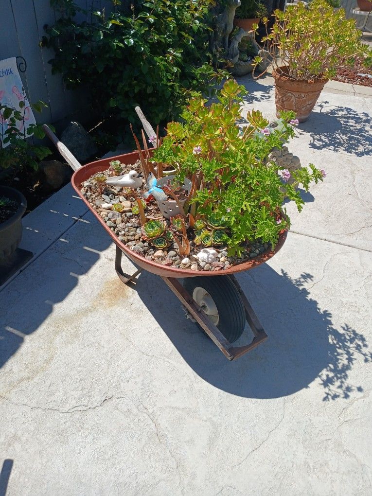 Wheelbarrow Succulents Plant Bed Must Go!