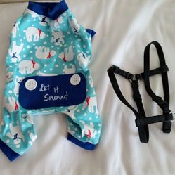 TINY  DOG 🐕 XMAS PJ's & COLLAR