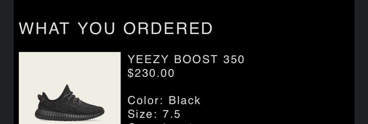 Pirate BLACK YEEZY 7.5
