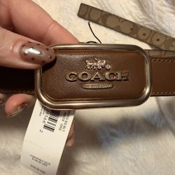 Coach belt 