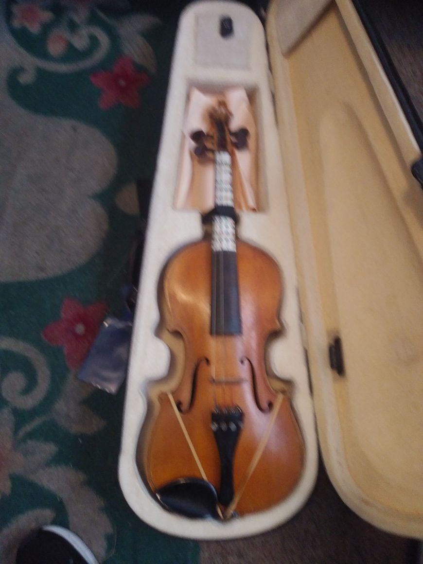 Violin