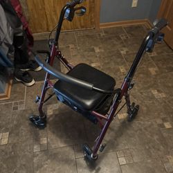 Mobility Walker